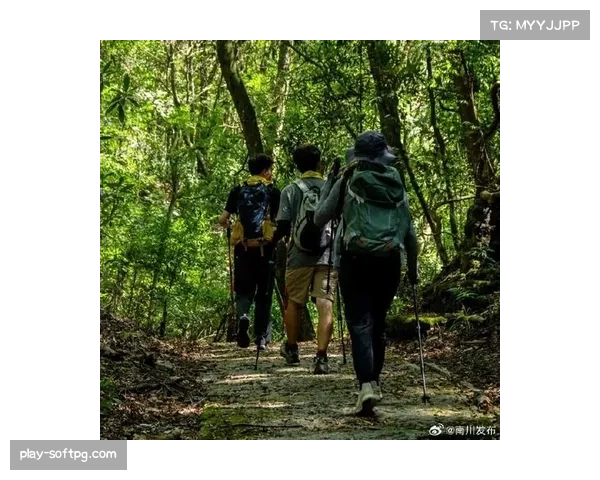 2026金佛山徒步登山季启幕户外运动热潮持续升温